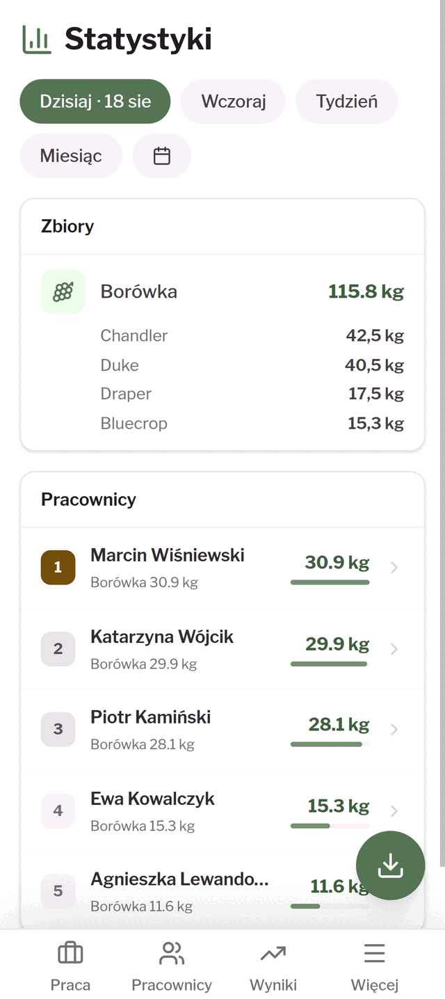 Reports & export